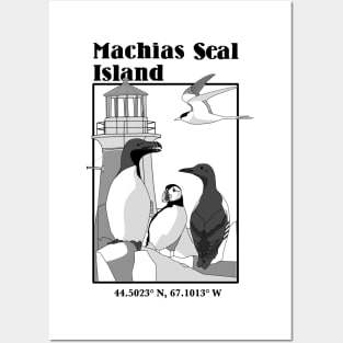 Machias Seal Island Maine Posters and Art